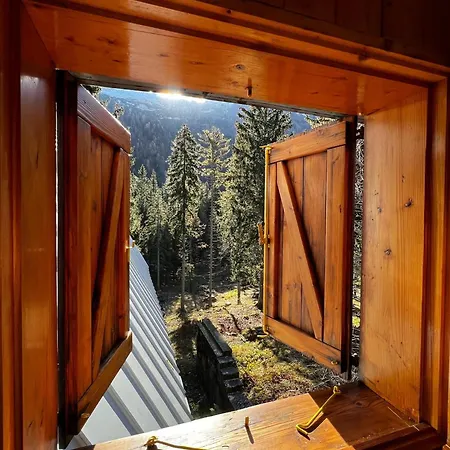 ~chalet_rifugio Tra I Boschi~ * 셀라 네비아